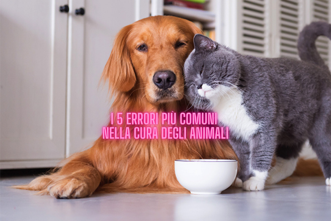 I 5 Errori Più Comuni nella Cura degli Animali Domestici (e Come Evitarli)