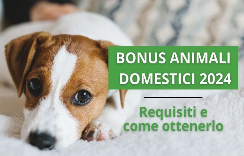 Bonus Animali Domestici 2024: Come Funziona e Chi Può Richiederlo