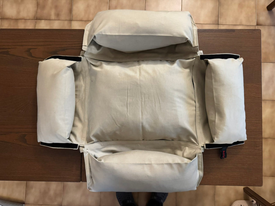 Flach ausgebreiteter BerryPuff-Prototyp mit vier geöffneten Seiten