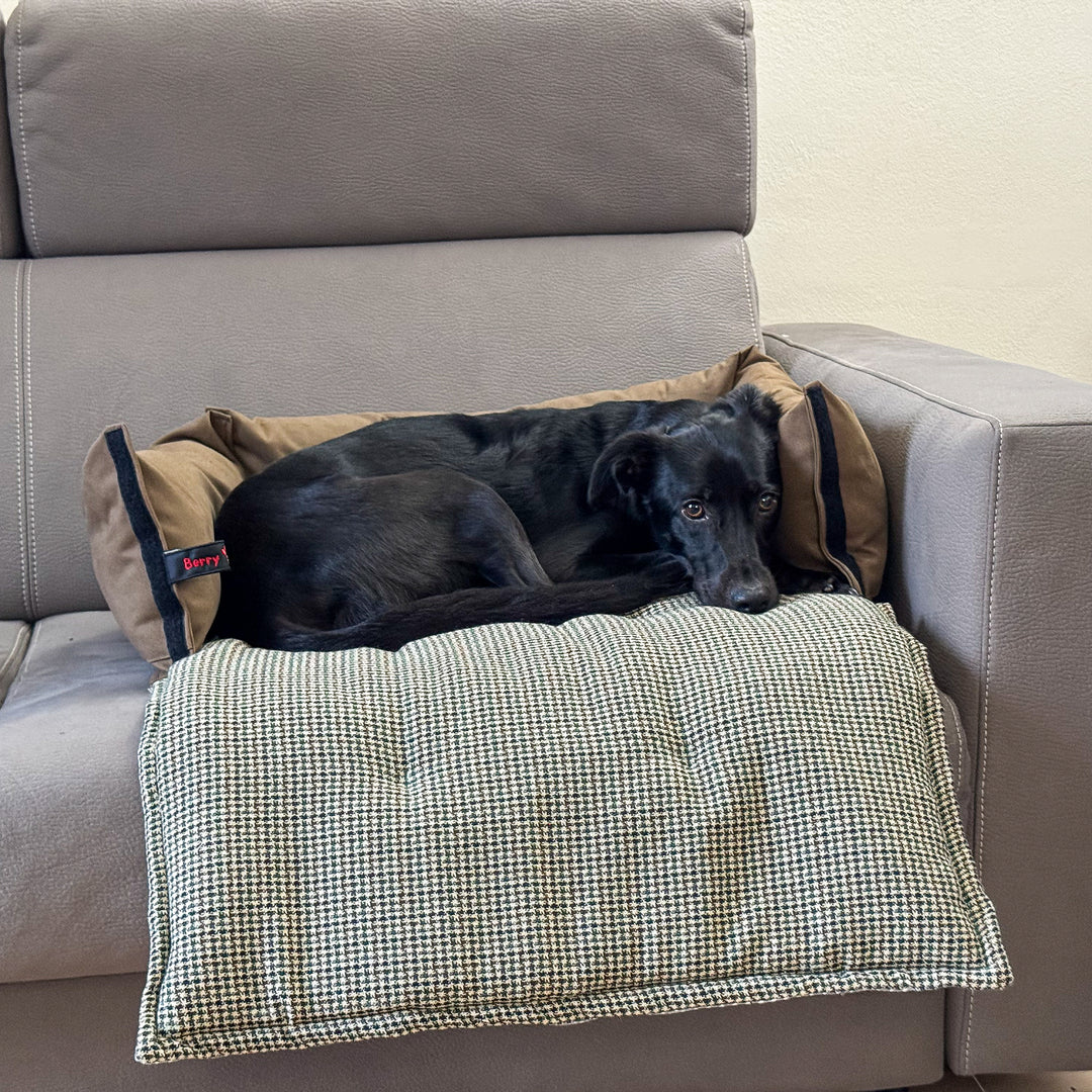 Modulo divano BerryPuff