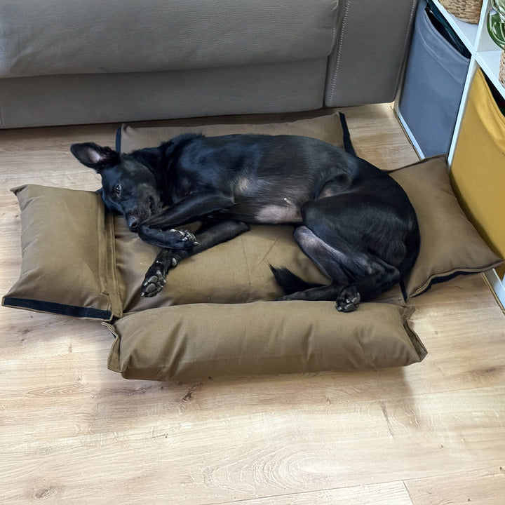 BerryPuff — La cuccia artigianale modulare Made in Italy