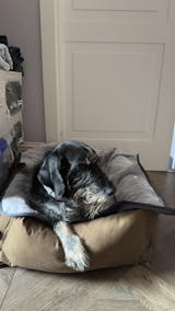 Foto von Filippo zu seiner BerryPuff Bewertung