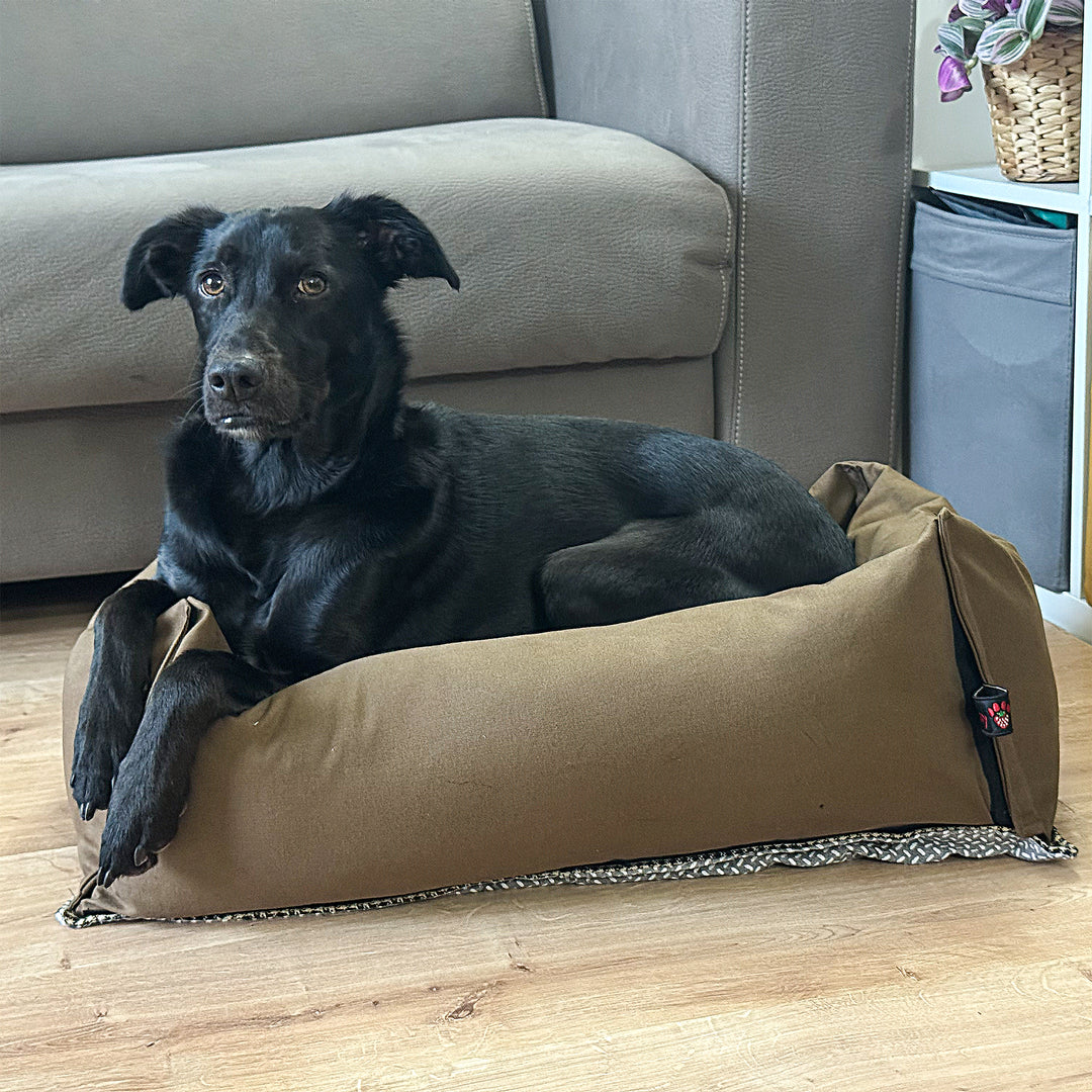 BerryPuff — La cuccia artigianale modulare Made in Italy