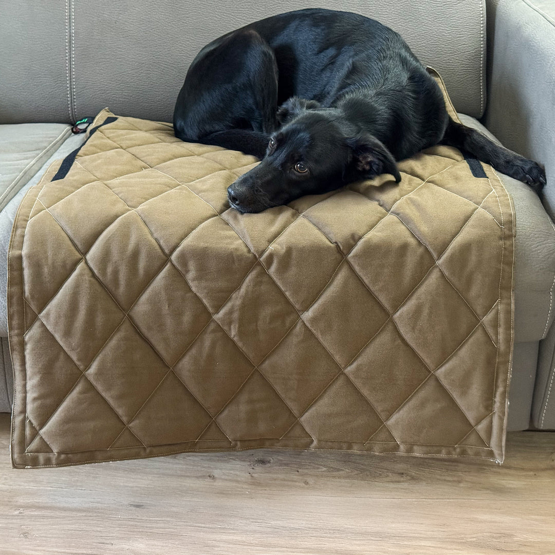 Modulo divano BerryPuff