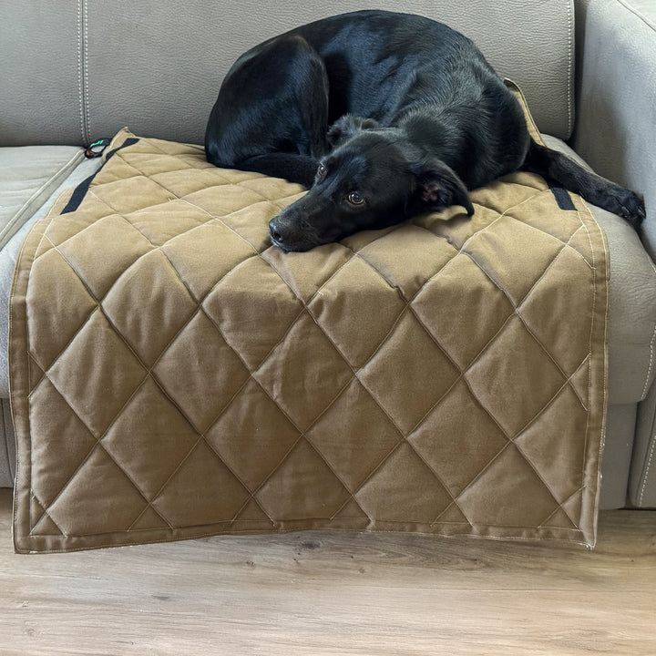 Modulo divano BerryPuff