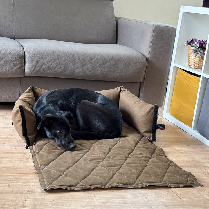 Modulo divano BerryPuff