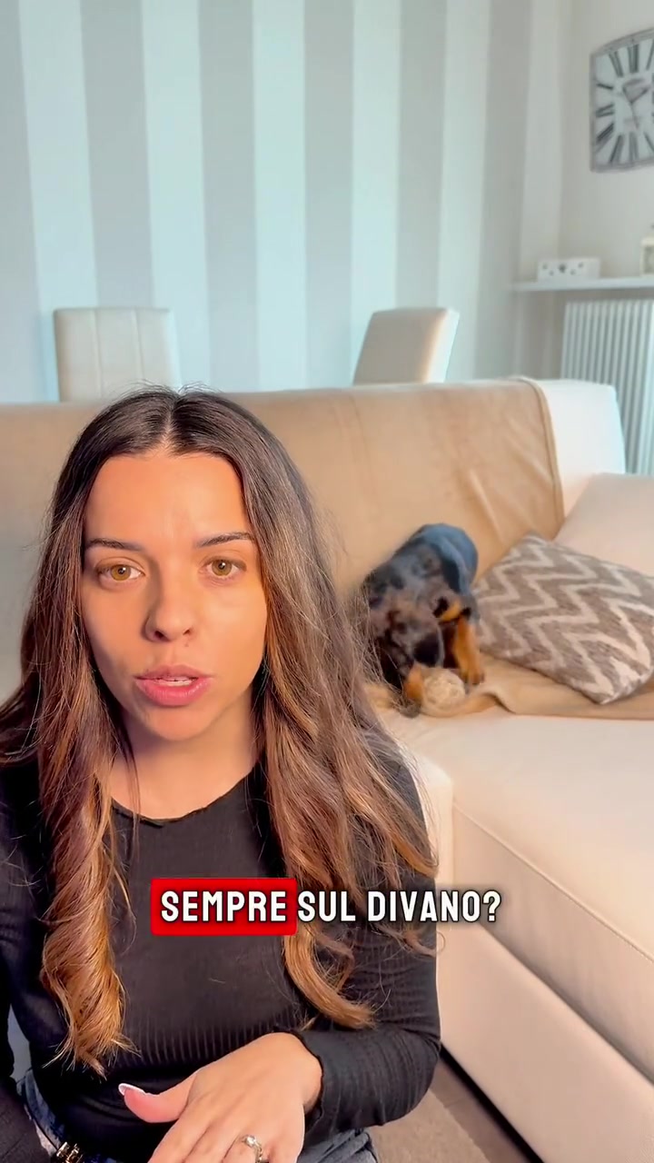 Vorschau des BerryPuff Videos: Eine Kundin zeigt das Tierbett mit ihrem Hund