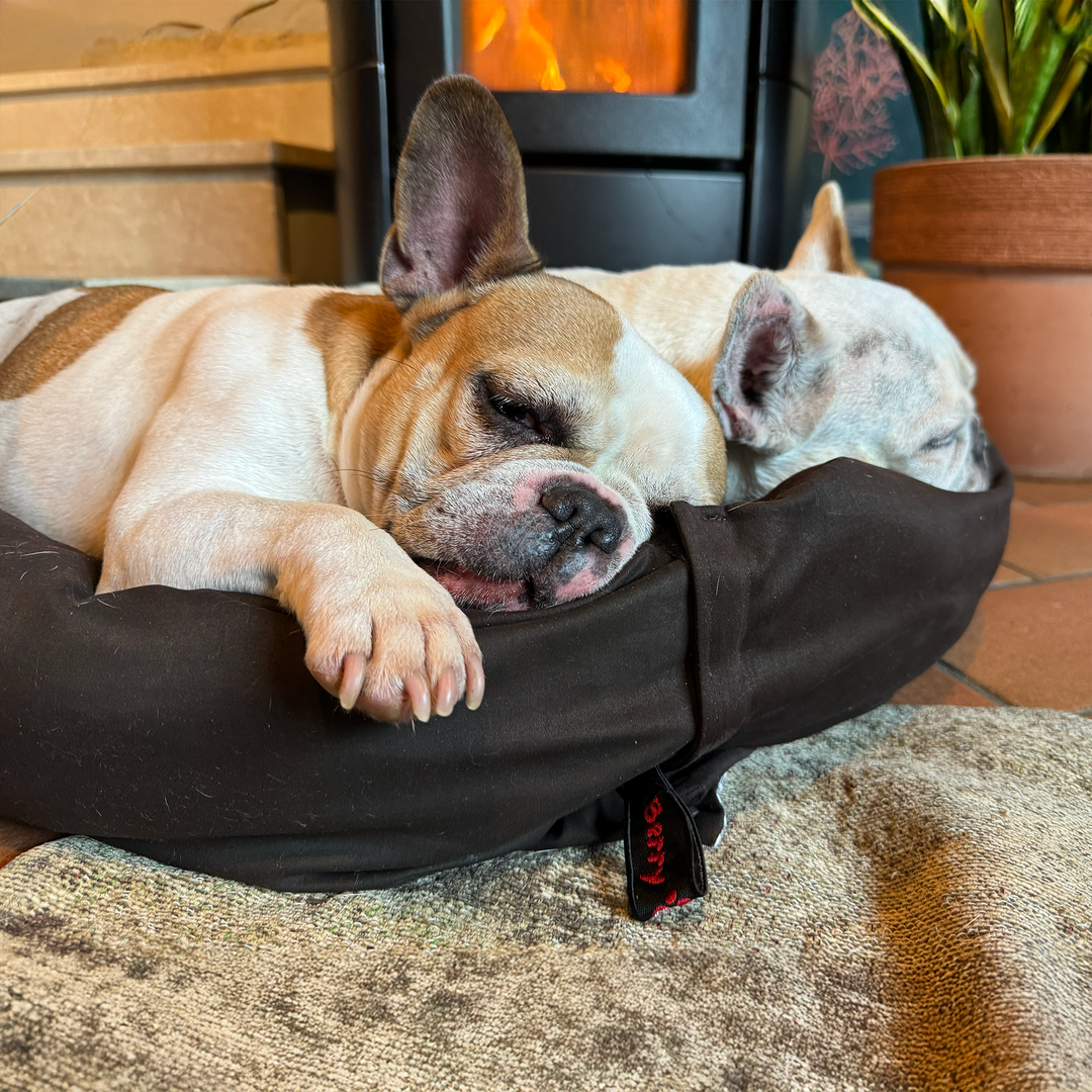 BerryPuff — La cuccia artigianale modulare Made in Italy