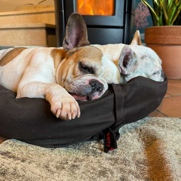 BerryPuff — La cuccia artigianale modulare Made in Italy