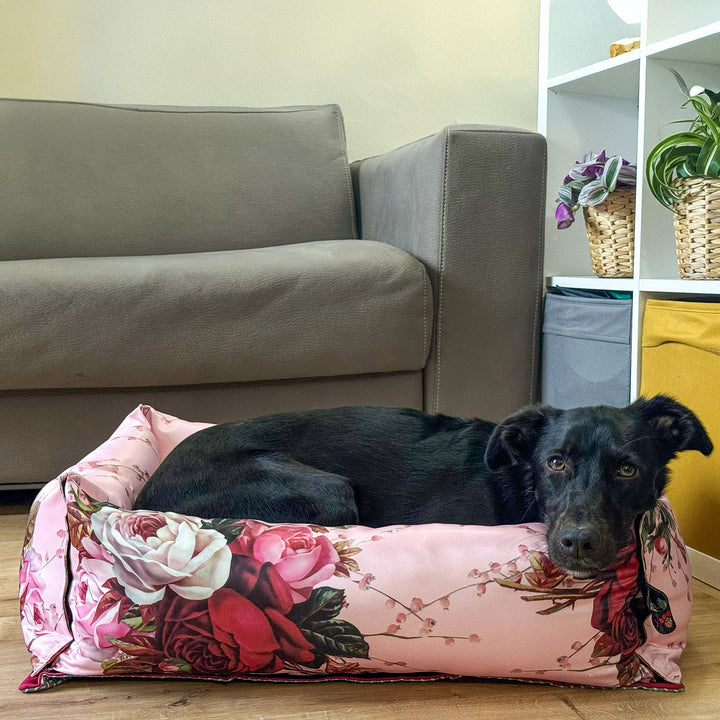 BerryPuff — La cuccia artigianale modulare Made in Italy